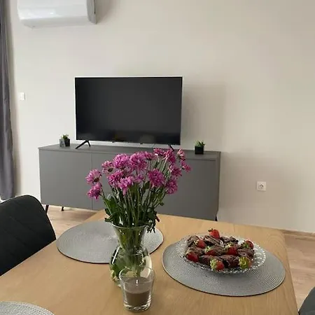 Apartment Viktoria With Free Parking Plovdiv